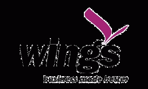 wings erp and accounting software